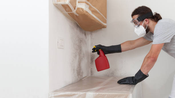 Professional Commercial Mold Remediation technician working in Hydes, MD